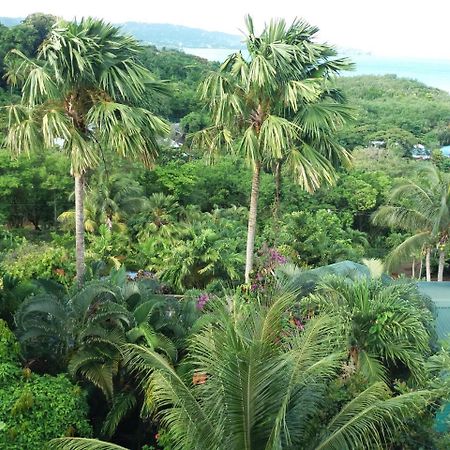 Apartment Espoir Castries Dış mekan fotoğraf