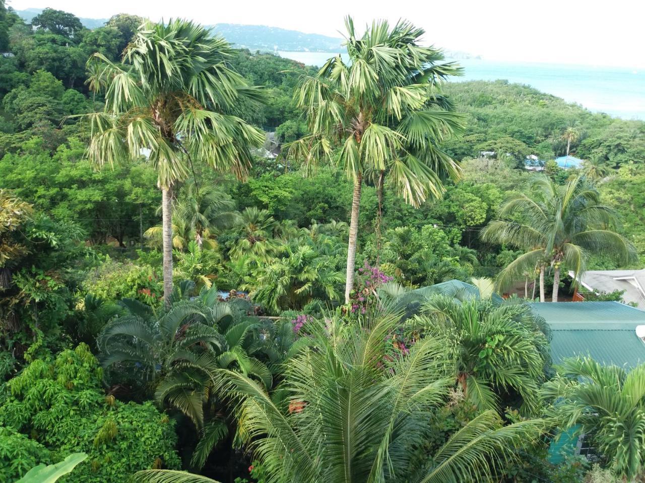 Apartment Espoir Castries Dış mekan fotoğraf